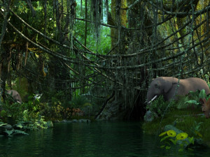 Rainforest 3D 모델