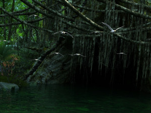 Rainforest Modelo 3D