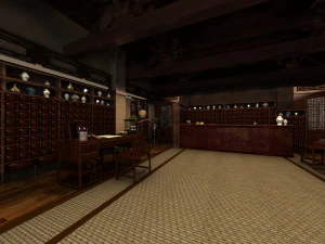 Chinese Pharmacy 3D Model