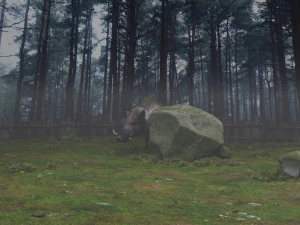 Hunting 3D Model