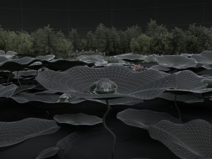 Lake Model 3D