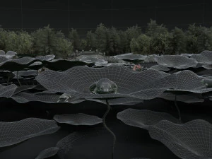 Danau Model 3D