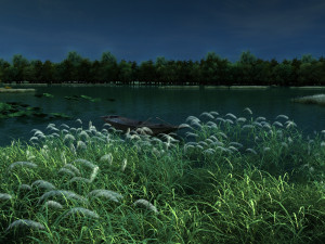 Lake Model 3D