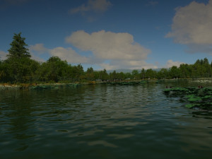 Dragon boat Modelo 3D