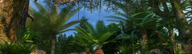 Rainforest 3D Model .c4d .max .obj .3ds .fbx .stl .blend 