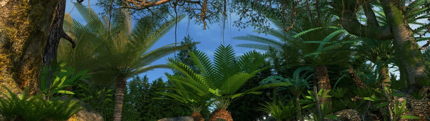 Rainforest 3D Model .c4d .max .obj .3ds .fbx .stl .blend 