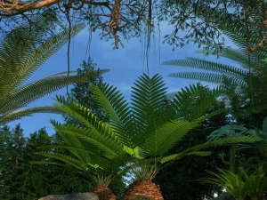 Foresta pluviale Modello 3D