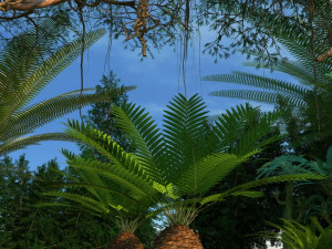Rainforest 3D Model