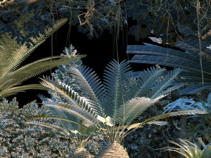 Rainforest 3D Model