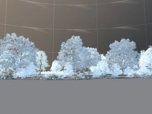 Snow scene 3D Model