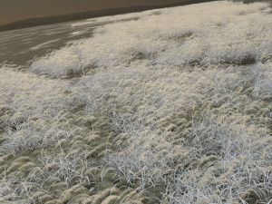 Lake 3D Model