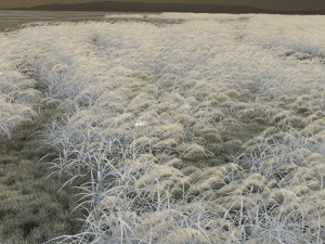 Lake 3D 模型