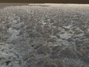 Lake 3D 模型