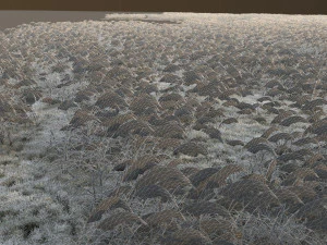 Lake 3D Model