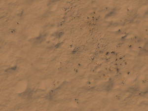 Desert 3D Model