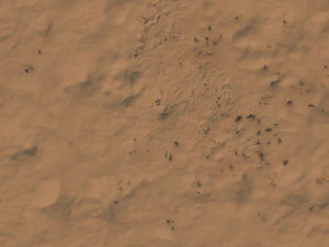 Desert 3D Model