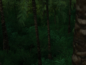 Rainforest 3D 模型
