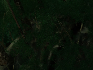Rainforest 3D Modell
