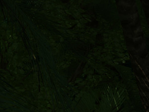 Rainforest 3D Modell