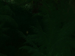 Rainforest 3D Modell