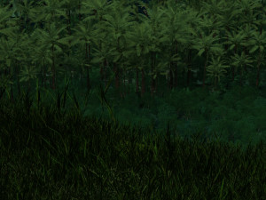 Rainforest 3D Modell