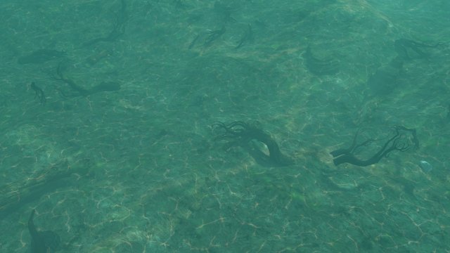 Underwater Modelo 3D .c4d .max .obj .3ds .fbx .stl .blend 