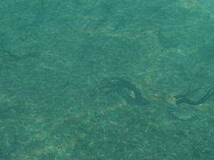 Underwater 3D Model