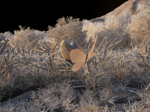 Lakeside 3D Model