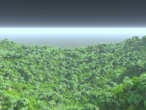 Mountain forest 3D Model