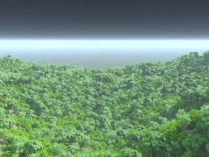 Hutan pegunungan Model 3D