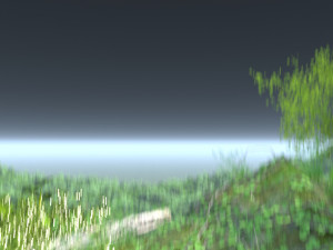 Mountain forest Model 3D