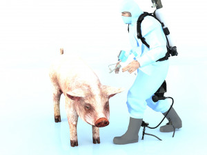 Pig injection 3D Model