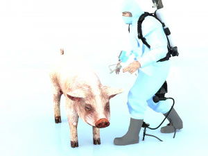 Schweineinjektion 3D Modell
