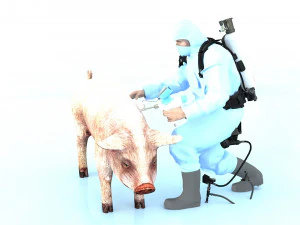 Zastrzyk świni Model 3D