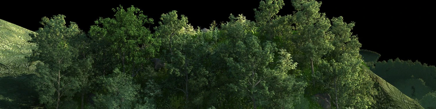 Mountain forest 3D Model .c4d .max .obj .3ds .fbx .stl .blend 