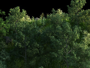 Mountain forest 3D Model