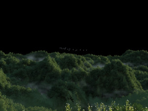Mountain forest Model 3D