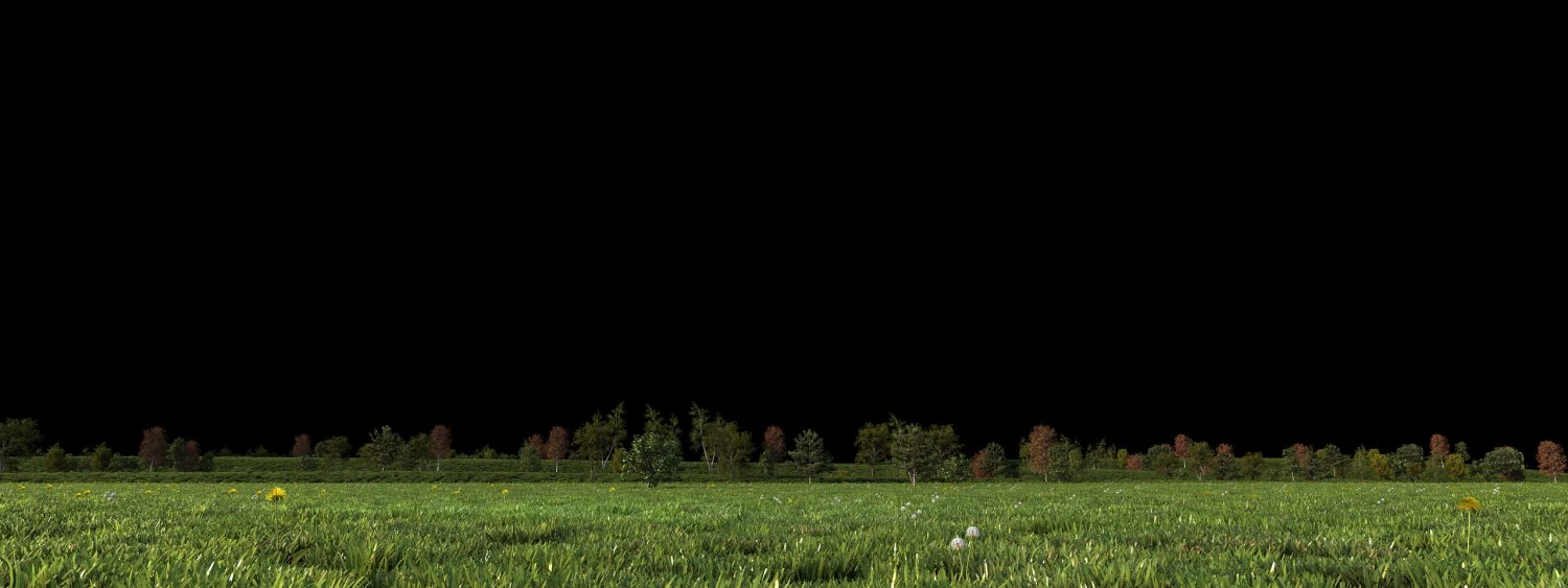 Grassland 3D Model .c4d .max .obj .3ds .fbx .stl .blend 