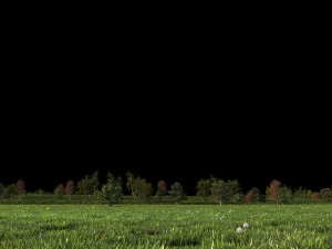 Padang rumput Model 3D