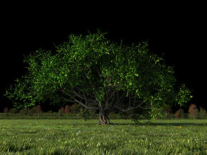 Grassland 3D Model