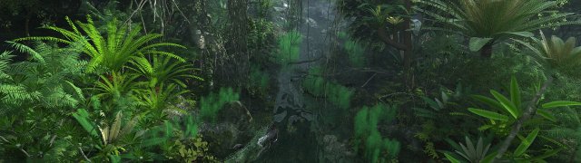 Rainforest 3D 模型 .c4d .max .obj .3ds .fbx .stl .blend 