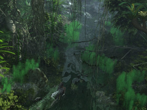 Rainforest Modelo 3D