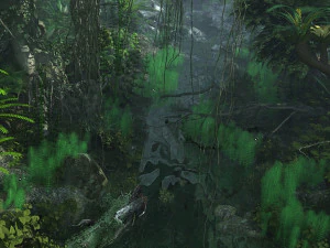 Foresta pluviale Modello 3D