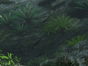 Rainforest 3D 模型