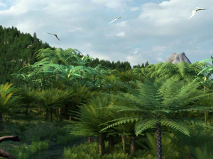 Rainforest 3D Model
