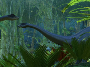 Rainforest 3D-Modell