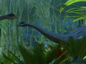 Rainforest 3D Model
