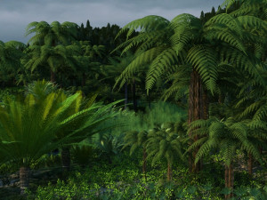 Rainforest 3D 모델