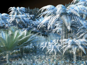 Hutan hujan Model 3D