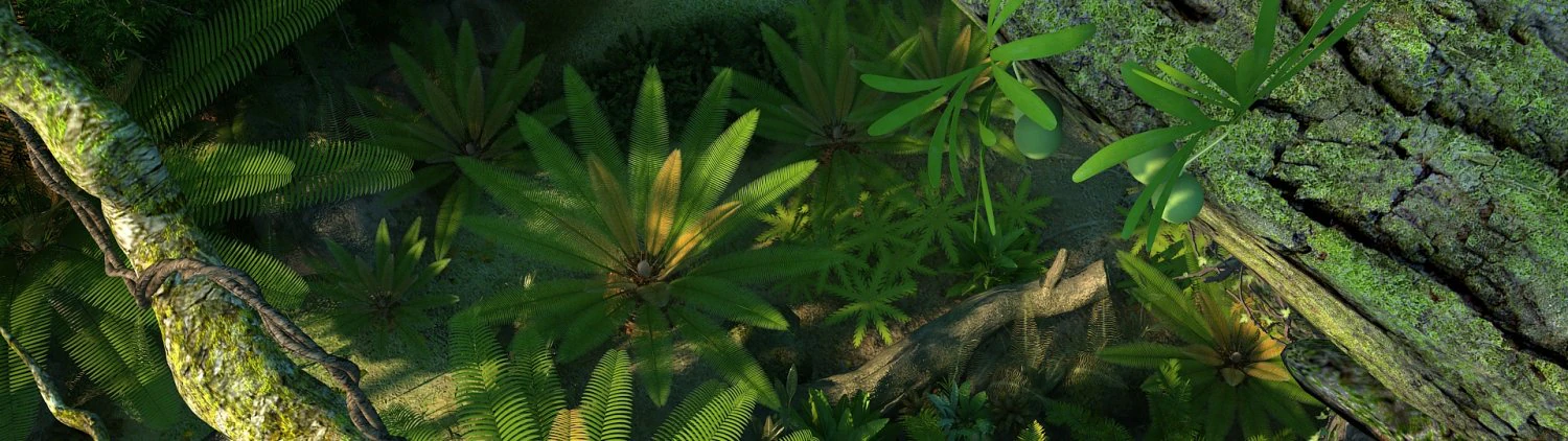 Rainforest 3D Model .c4d .max .obj .3ds .fbx .stl .blend 